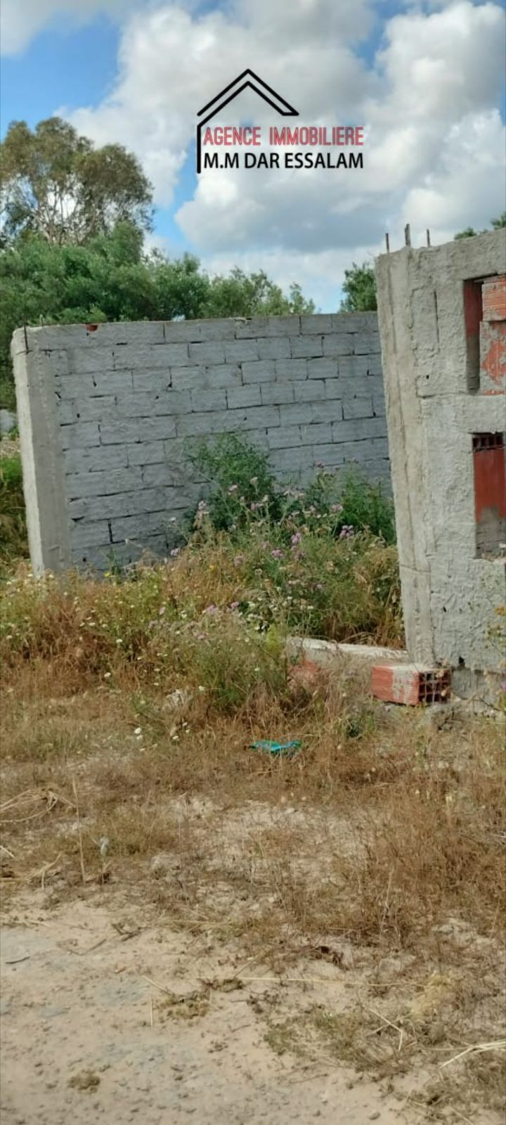 نبع5