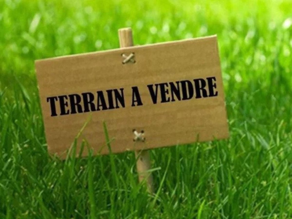 Terrain 5 ha