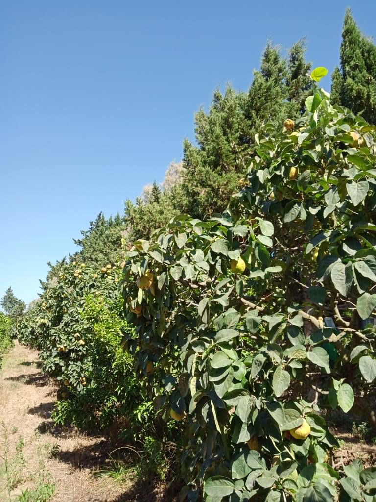 IMG-20260528-WA0057