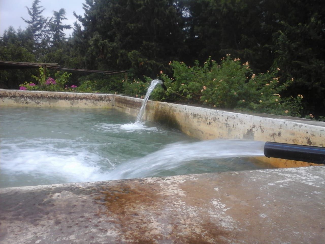 IMG-20260528-WA0046