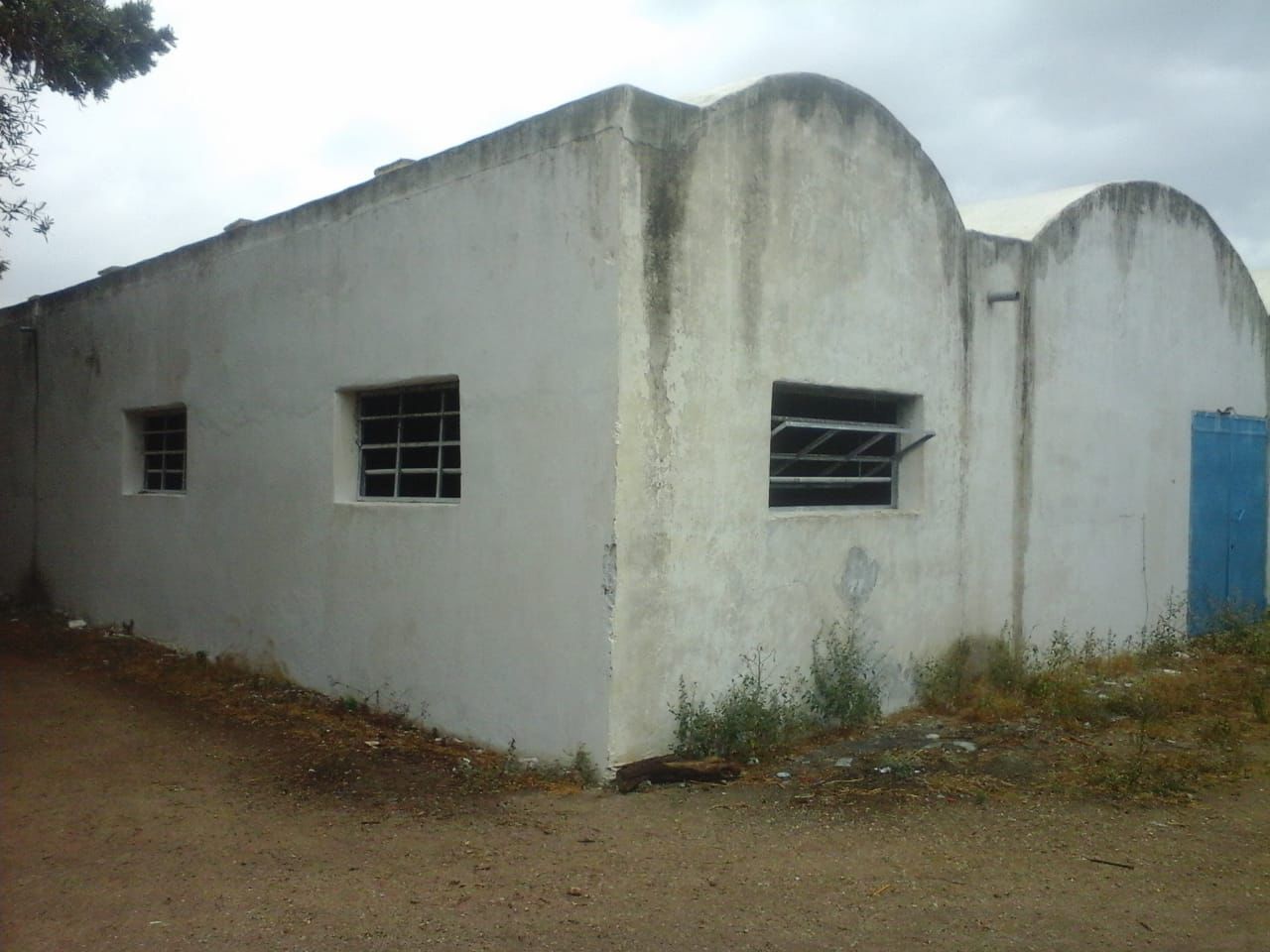 IMG-20260528-WA0047