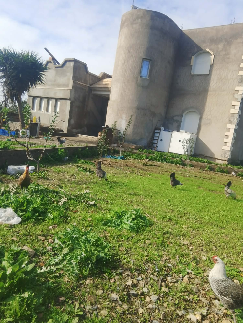 Ferme agricole titrée à Jdeida