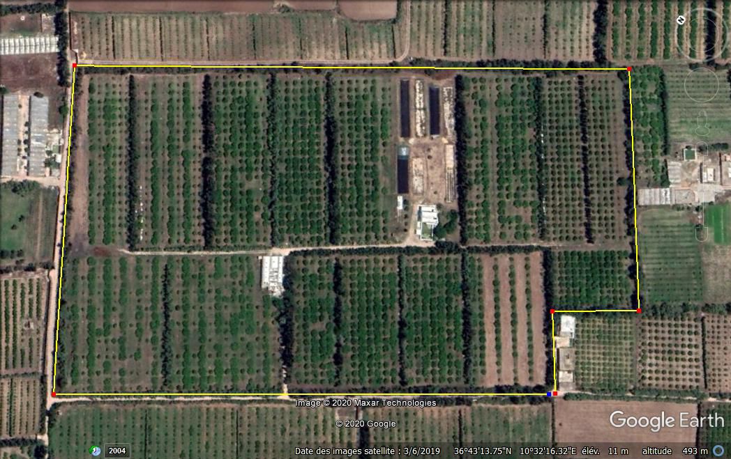 Ferme Agricole de 11 hectares à Soliman