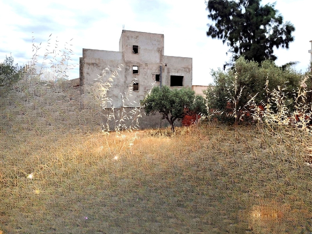 vente terrain