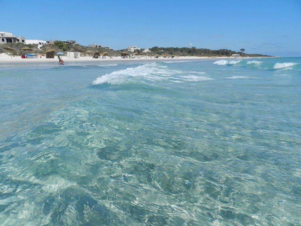 TERRAIN POUR FUTUR PROJET TOURISTIQUE