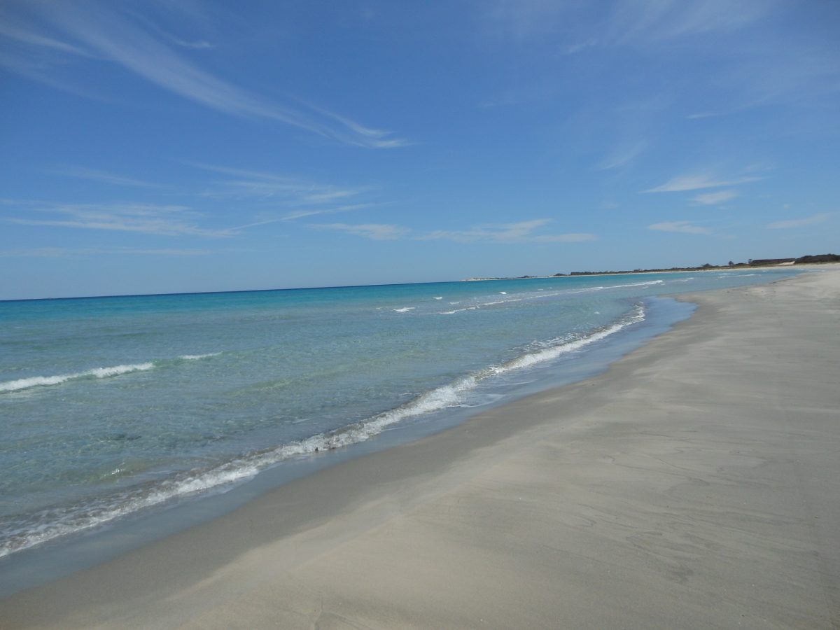 Un terrain en bord de mer a ne pas rate