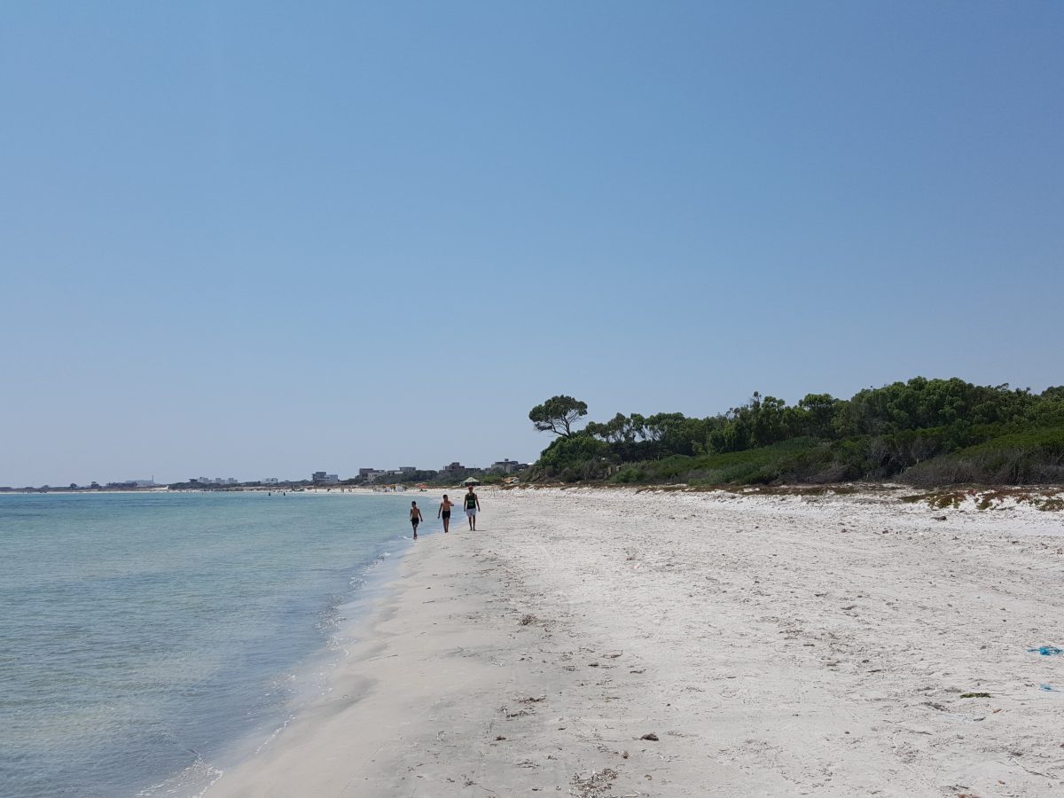 Un terrain en bord de mer a ne pas rate