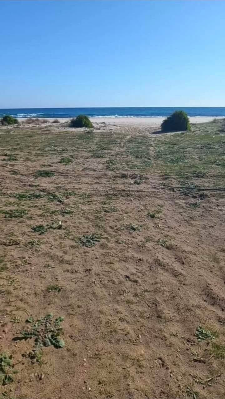 1 ha entre kelibia et dar allouche