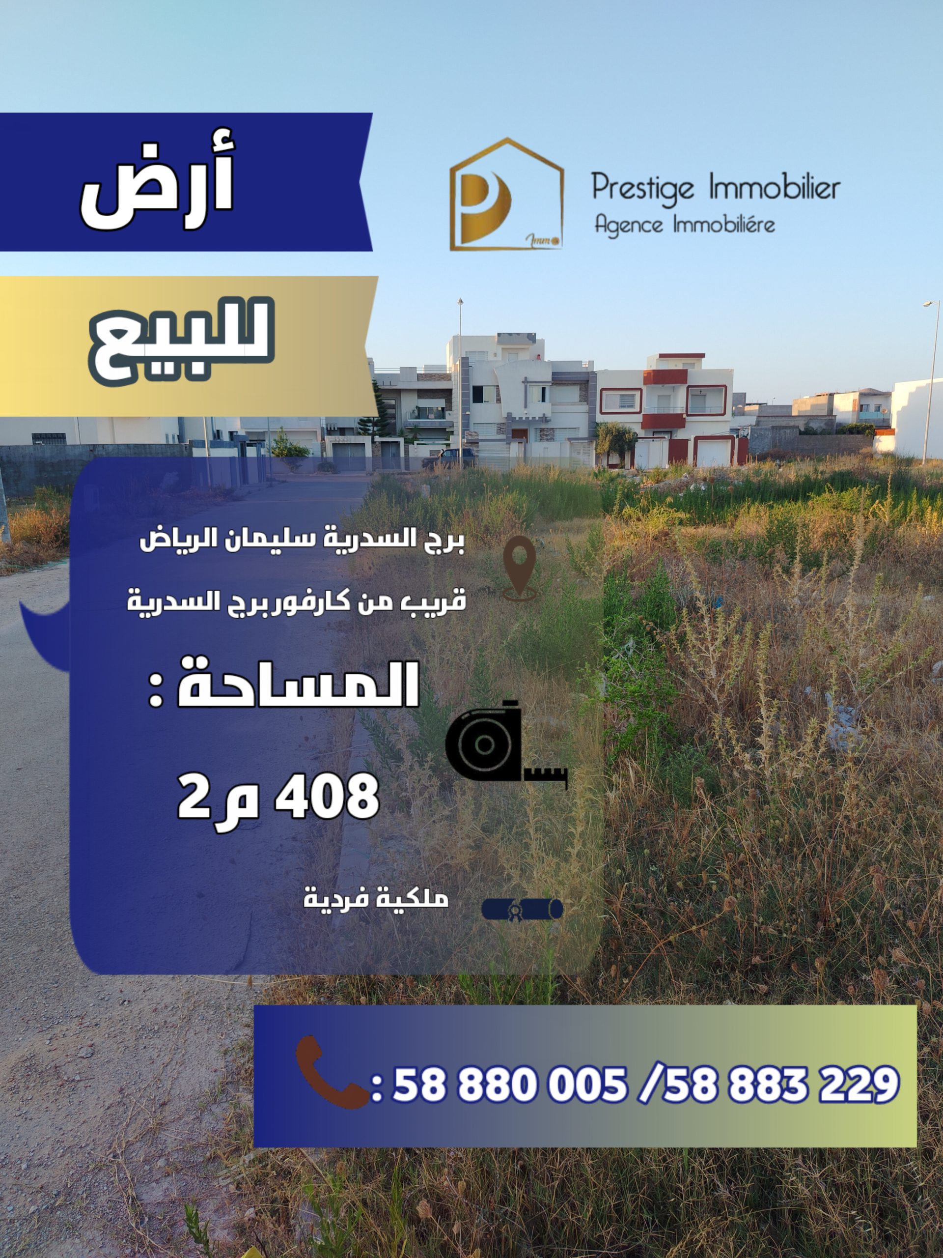1000025647